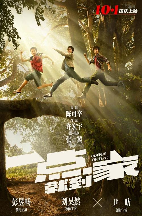 做个牙买加驾驶证